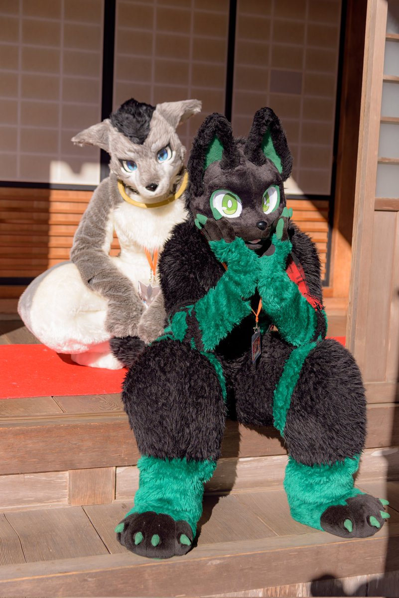 タクト➡次は……なんだろう tweet media