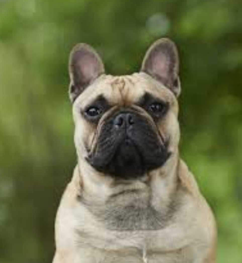 Dr.RSB🇮🇳💪 tweet media