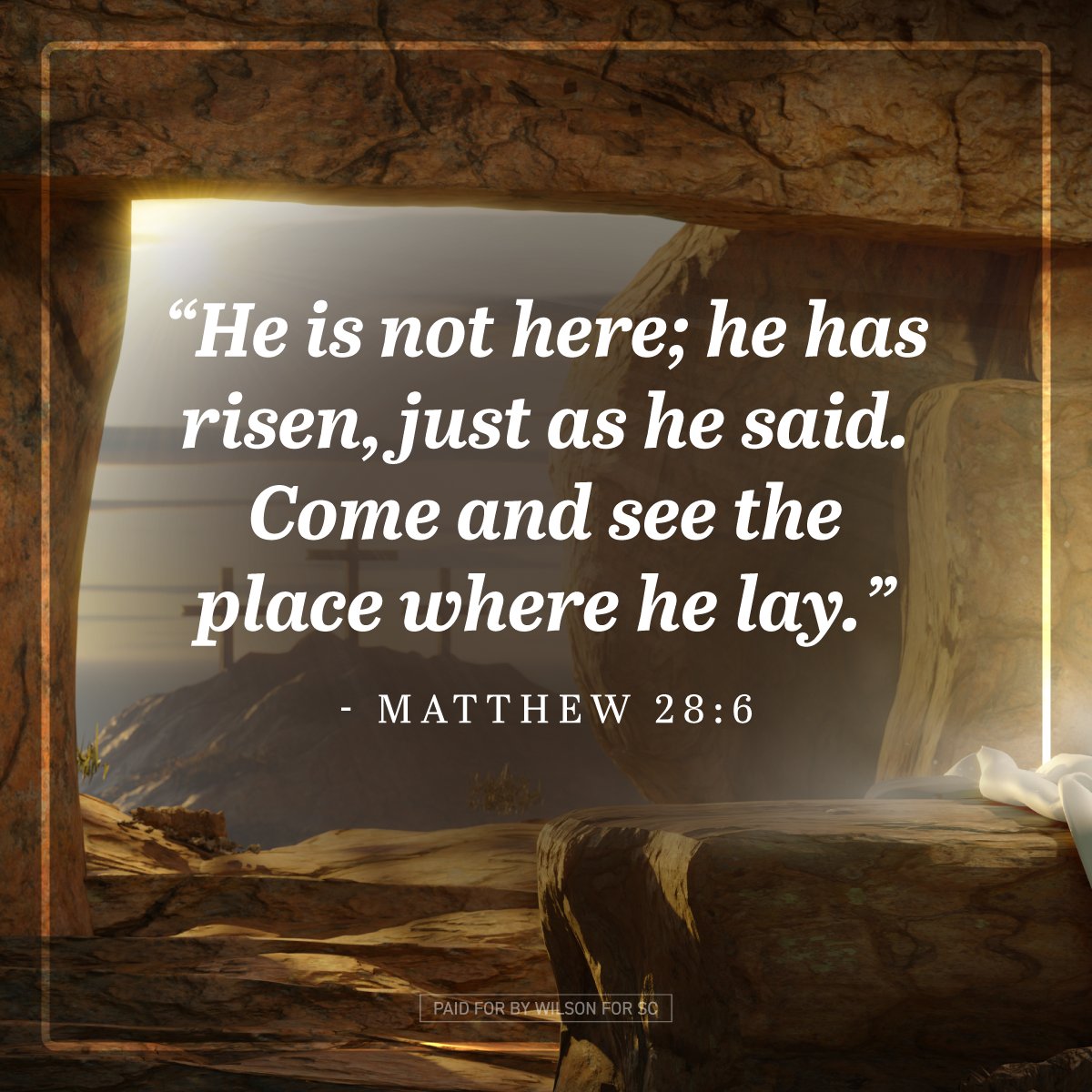 Alan Wilson tweet media