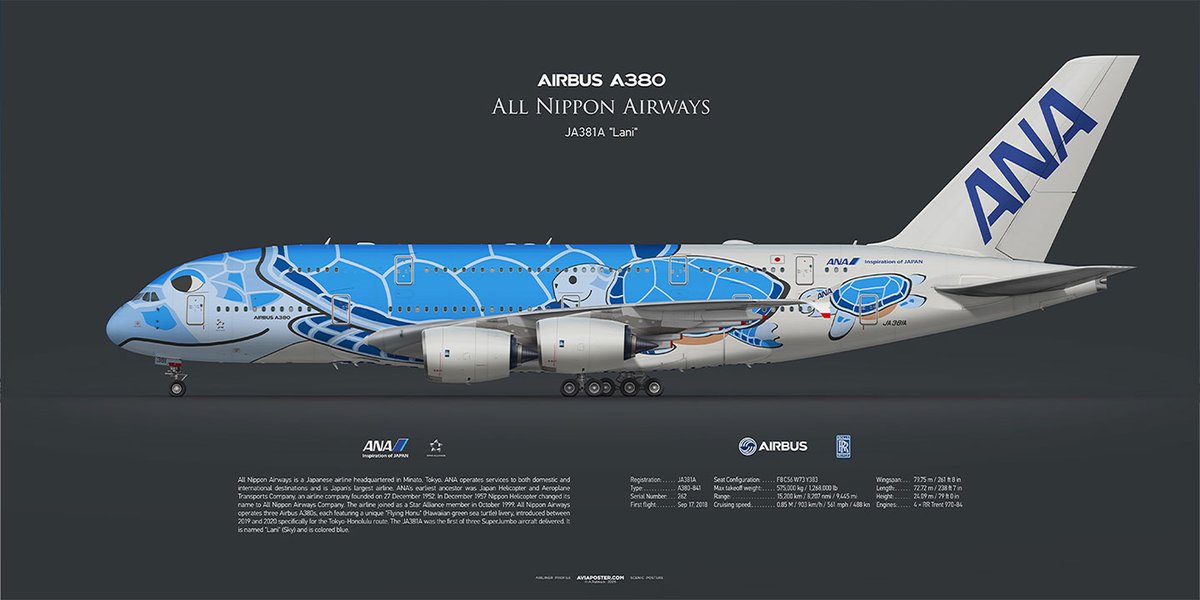 Aviaposter - Airliner Profile Scenic Posters tweet media