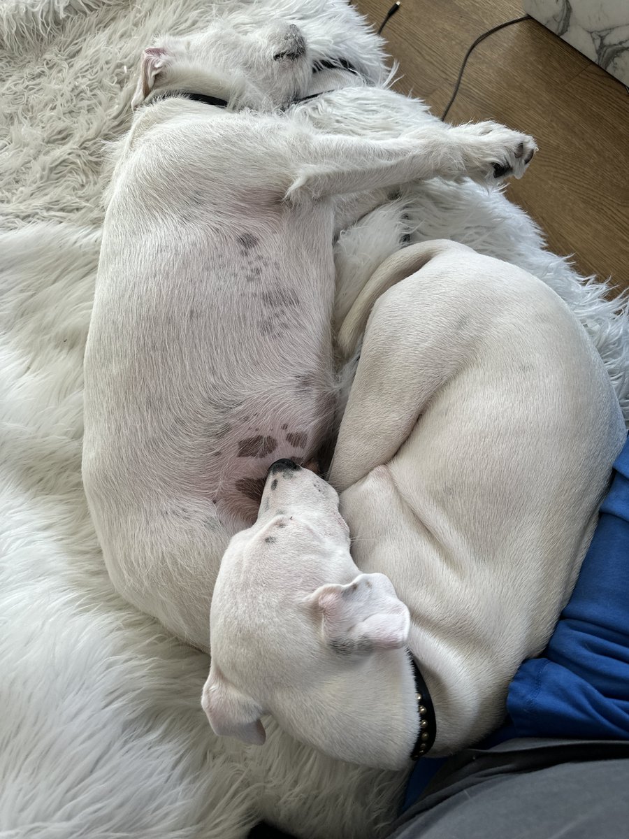 Tyler King tweet media