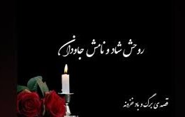 Razz 💚🤍❤ tweet media