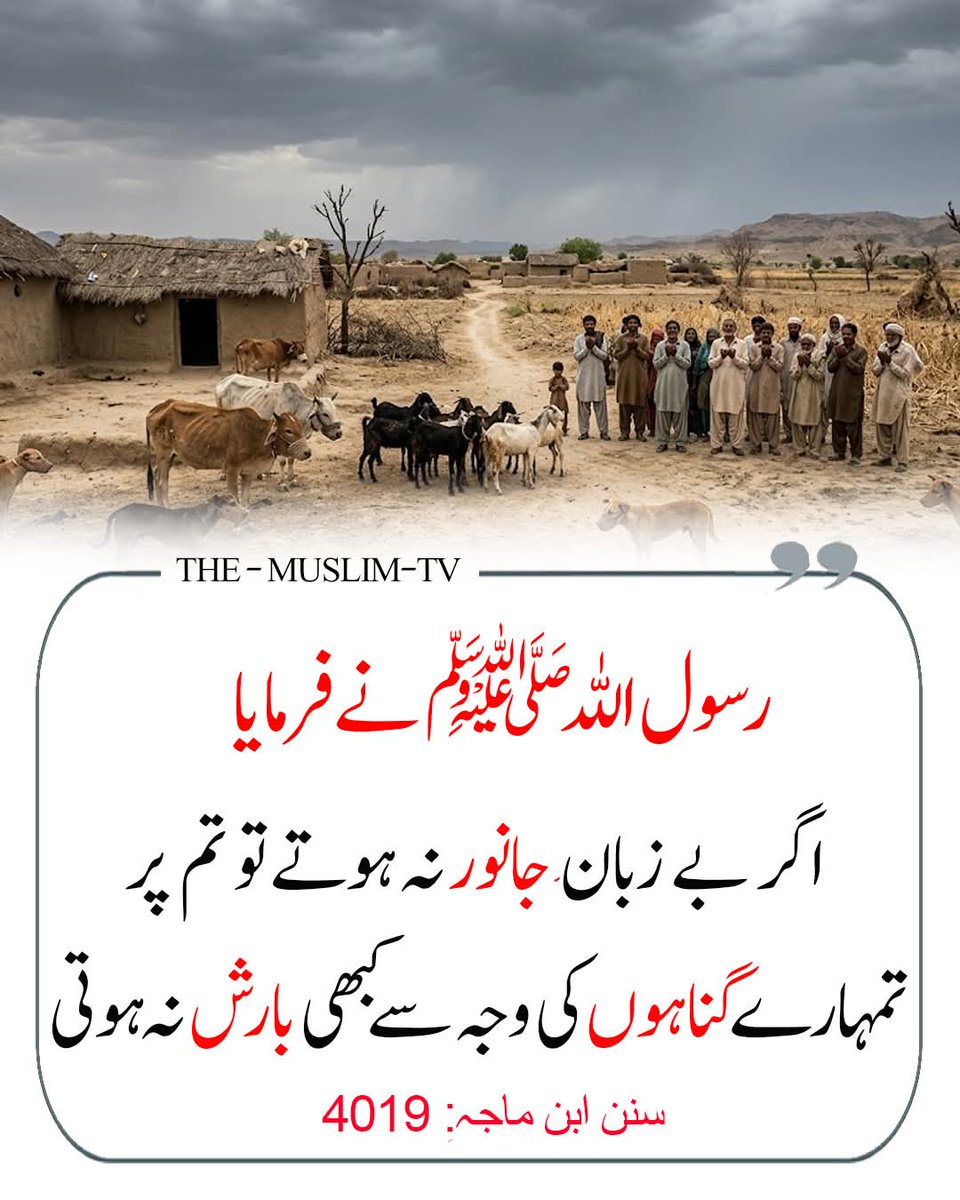 رسول اللہ ﷺ نے فرمایا:
“اگر بے زبان جانور نہ ہوتے تو تم پر (تمہارے گناہوں کی وجہ سے) کبھی بارش نہ ہوتی۔”

حوالہ: سنن ابن ماجہ ، حدیث نمبر: 4019

اس حدیث میں رسول اللہ ﷺ نے اللہ کی رحمت اور اس کے وسیع نظام کو بیان فرمایا ہے، یعنی اللہ تعالیٰ اپنی مخلوق پر رحم فرماتا ہے اور بعض