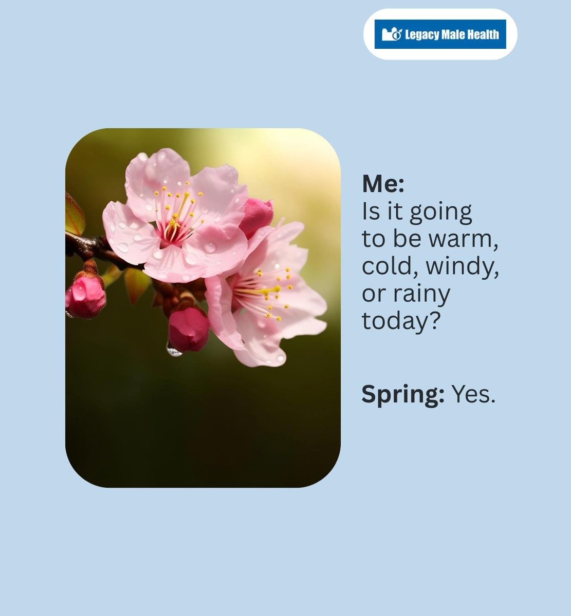 VasRevDoc's tweet image. Just when you thought the weather would be predictable. It seems like spring has other plans. What kind of weather are you hoping for? Let us know in the comments.

#spring #weather #hotorcold #frisco #TX #vasectomyreversaldoctor