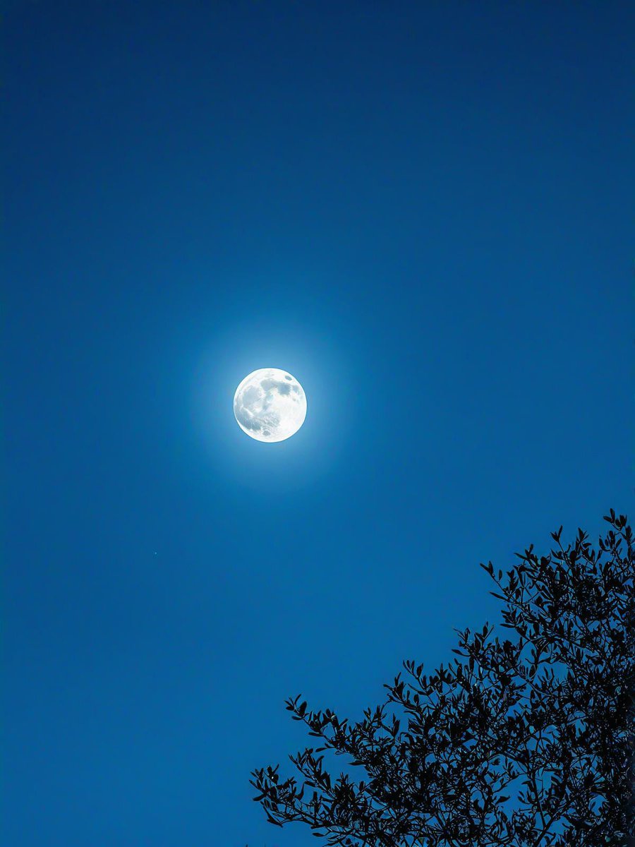ReidMyRantz's tweet photo. "Across miles, same moon, same heartbeat  Distance doesn’t dim the warmth of ‘I’m here’—even when we’re worlds apart." https://t.co/KM9m4cuJQe