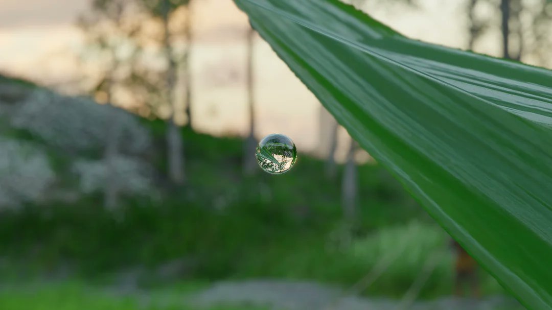 سعودي جيمر tweet media