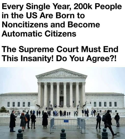 SaltyGoat tweet media