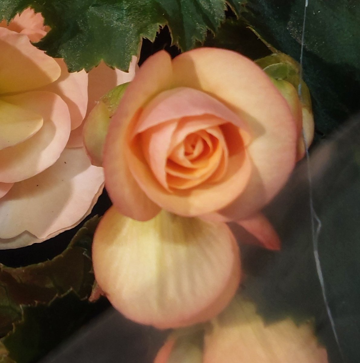 Alberto 🇫🇮 tweet media