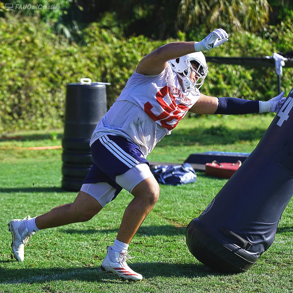 FAU Owls Nest tweet media