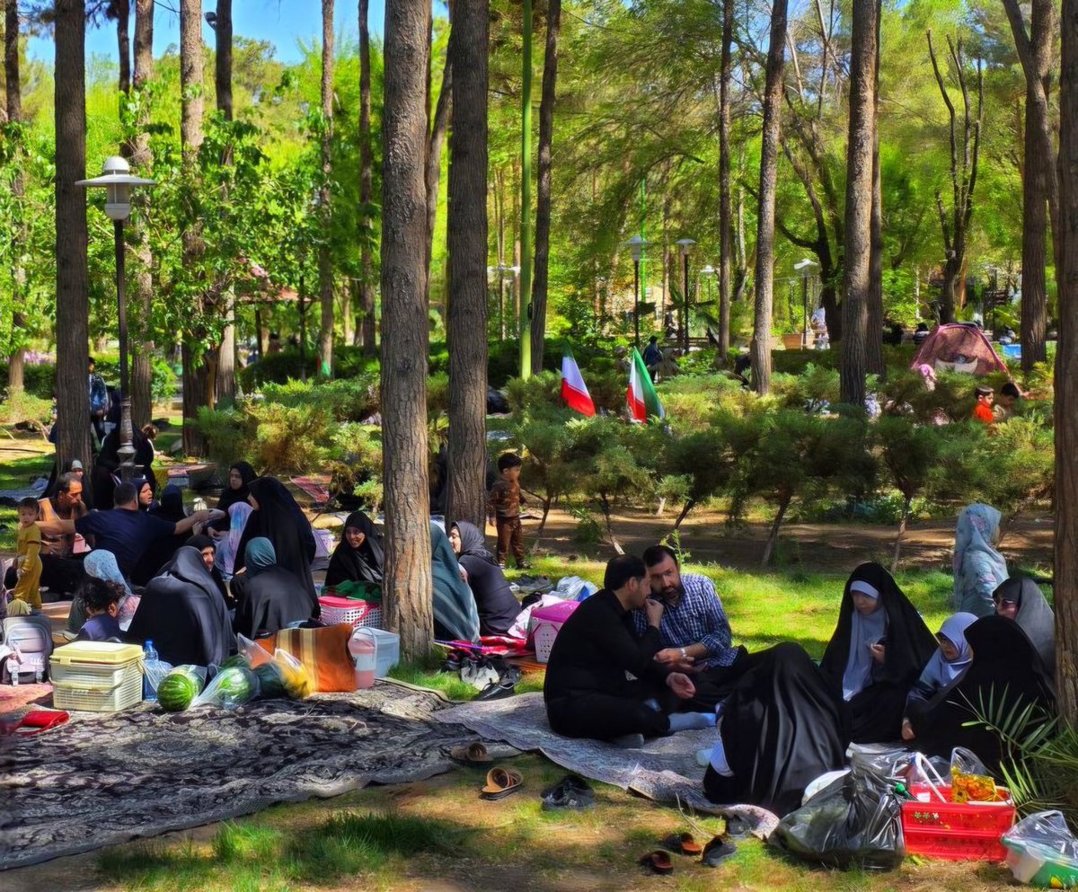 سعید tweet media