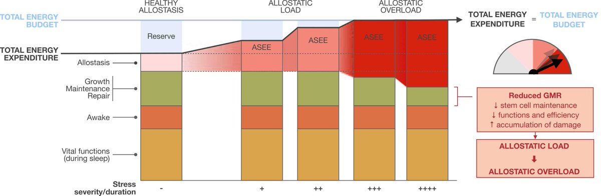 Martin Picard tweet media