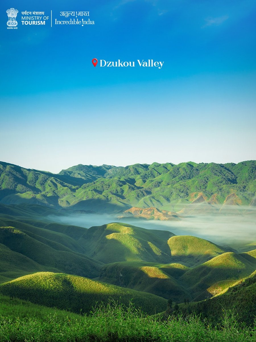 Incredible!ndia tweet media