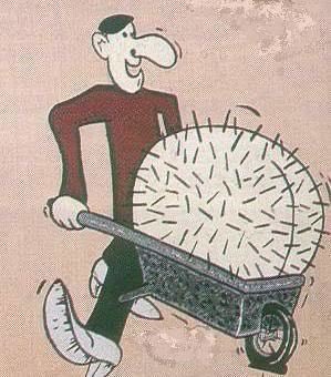 Roni 🇫🇴🇫🇴🇫🇴 tweet media