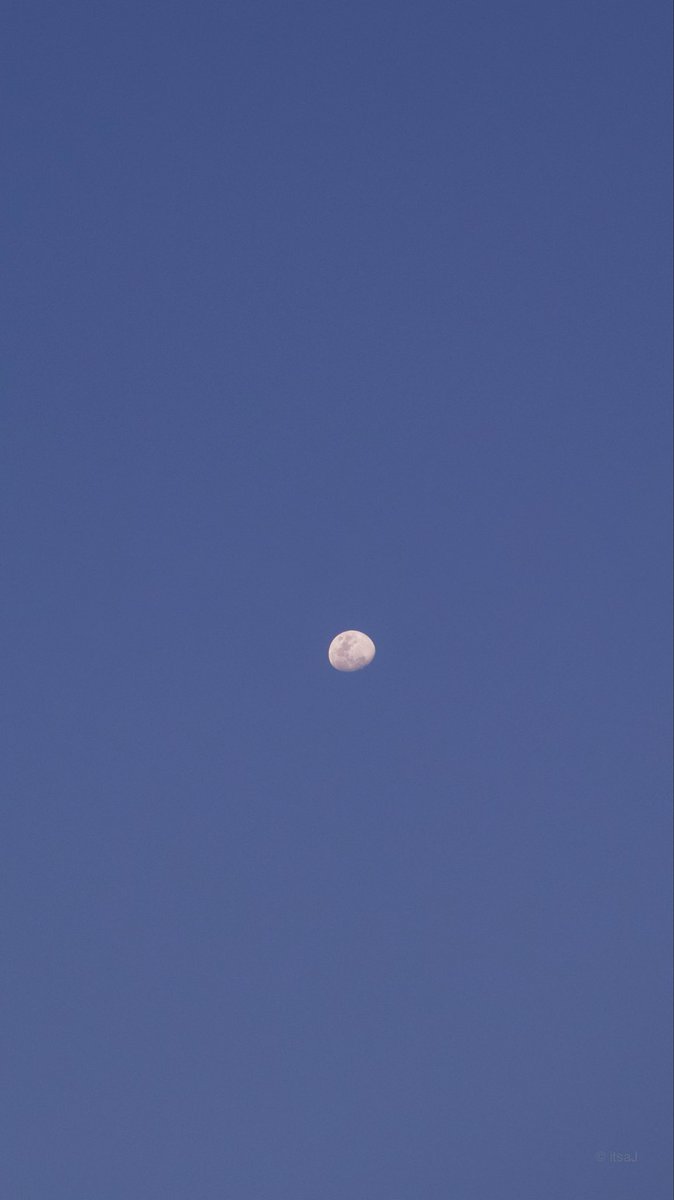 hjasti's tweet photo. Daytime moon a few days ago.
Moon tonight.
#camlog https://t.co/xOwlJFCe3R