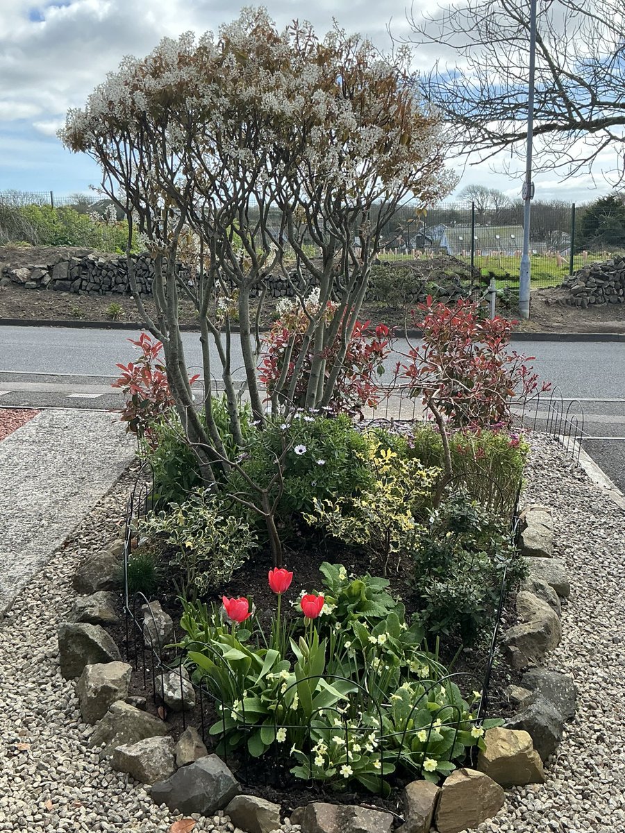 JackiHicks's tweet image. Taken some garden pics today while everything looks pretty 🍃🌺🌿 The weather forecast for the weekend isn’t sounding too great so some of the plants might not survive 💨☔️ #springtime #inthegarden #myphotography #nofilterneeded 📷