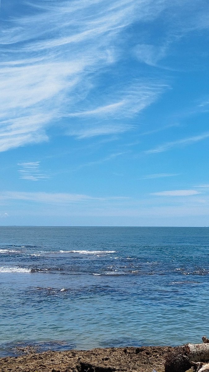 picopii2's tweet photo. sea me https://t.co/vDKpHCJo7g