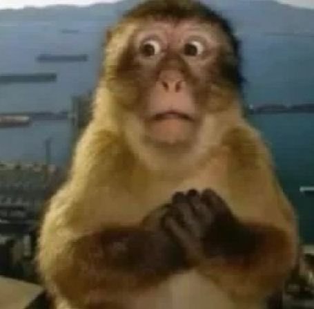 lilica 𐙚 tweet media