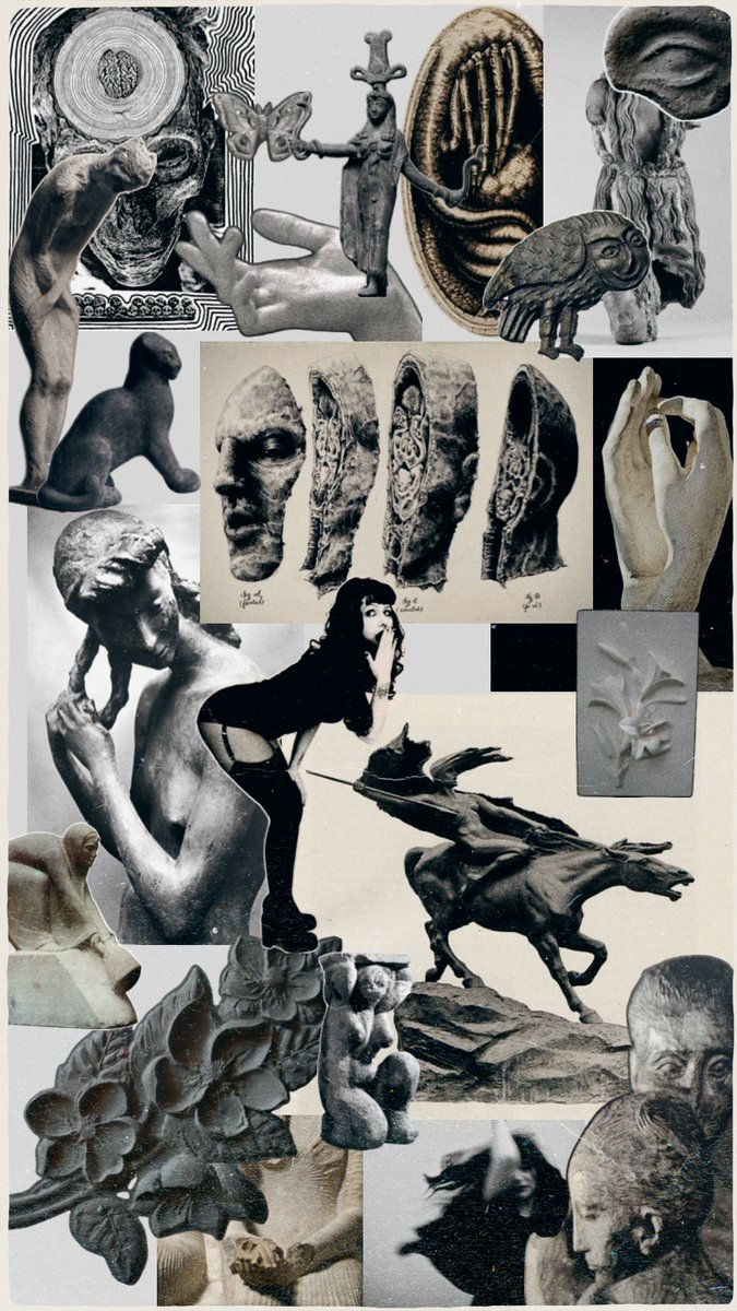 ash 🐟 tweet media