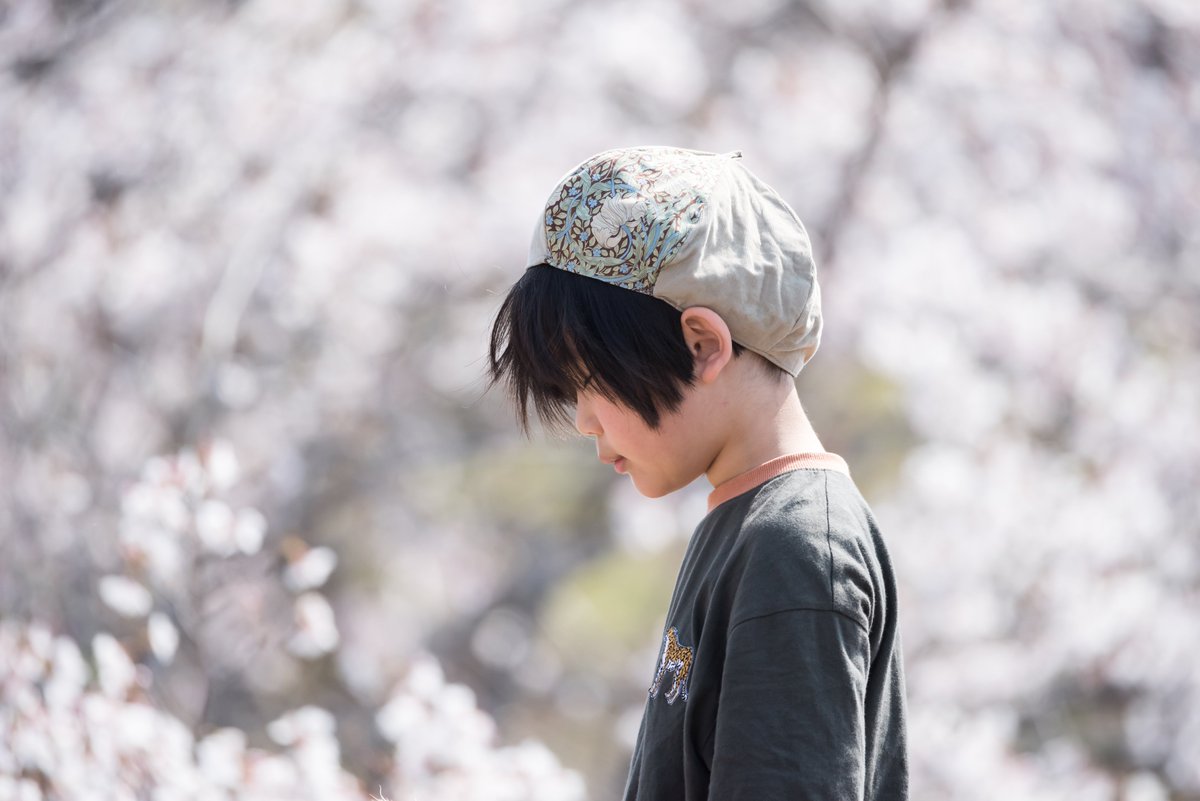 kuroneko794's tweet photo. #Photography #coregraphy #portraitt

桜ポトレ撮影のノウハウ的なの流れてくるけど脚立望遠はまぁ当たり前として一番重要なのはロケハンだと思う https://t.co/MIxn4zpQ1a