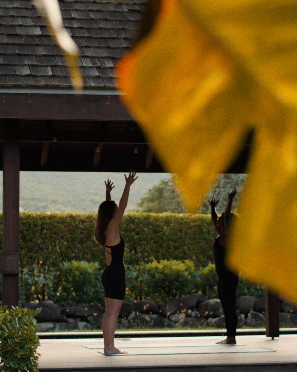 Four Seasons Nevis tweet media