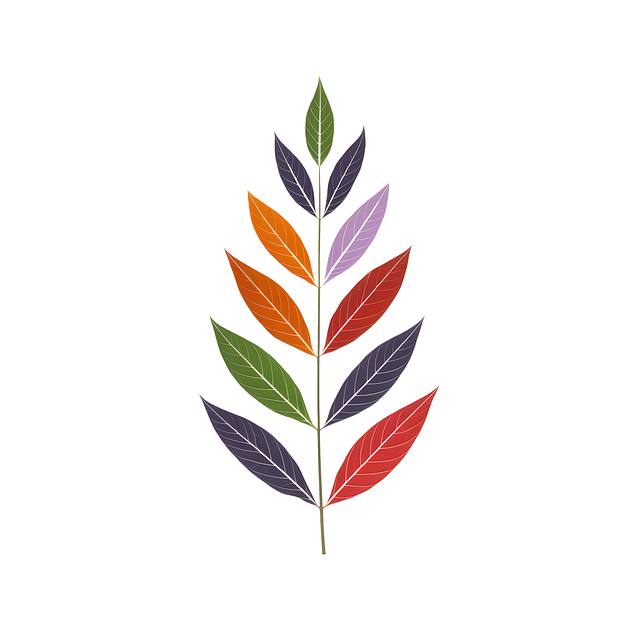 Caleb Scott tweet media