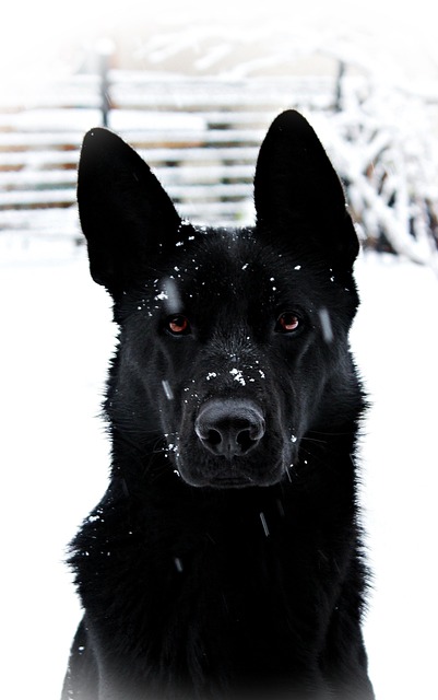 Mary Miller tweet media