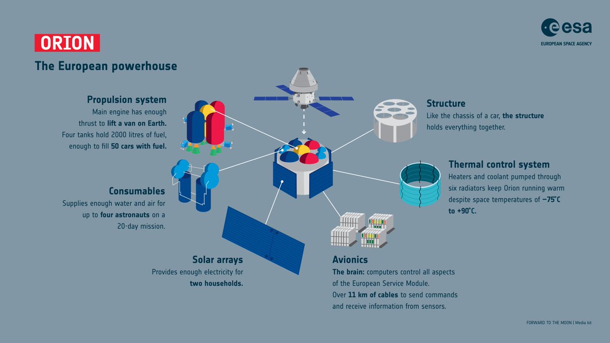 Imperator Cat tweet media