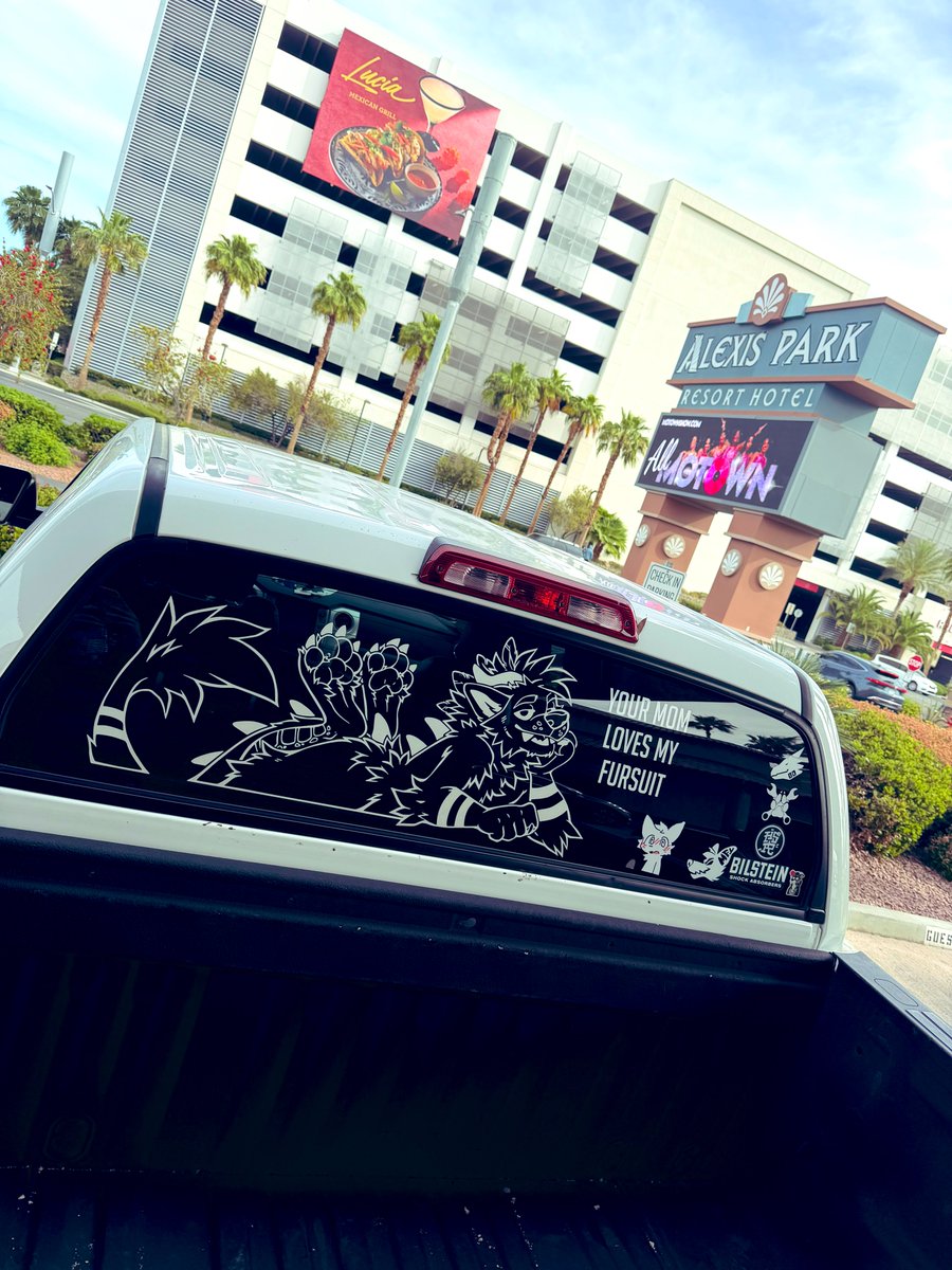 sheep 🔜 LVFC 🎲 tweet media