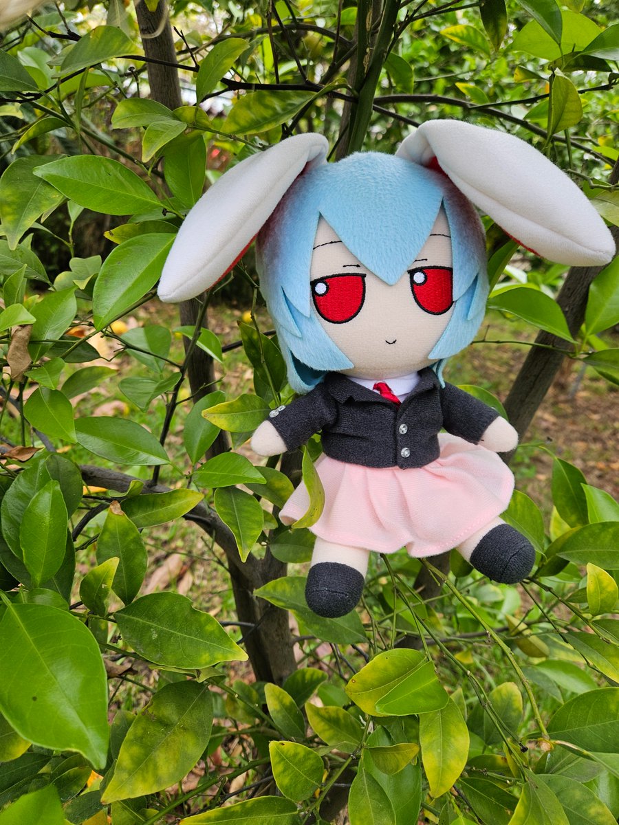 Reisen fumo posting & other moon rabbit nonsense tweet media