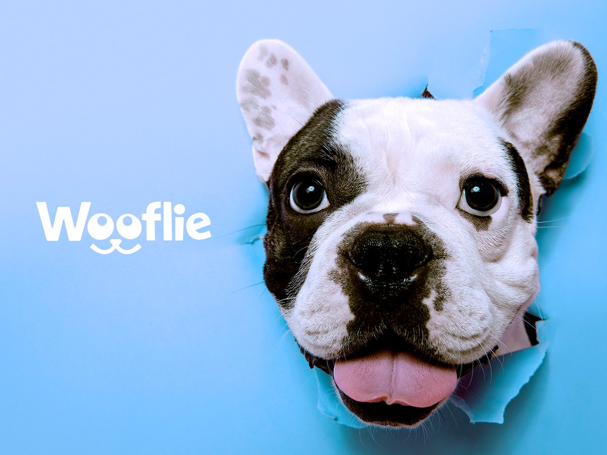 DrewVivas_'s tweet photo. Propuestas de Naming e Identidad Visual
—
Colaboración con Fusewit Creative | USA | 2023
—
#avc #creativelab #visualidentity #usa #food #dog #family #naming https://t.co/mQ1ADgWD8m