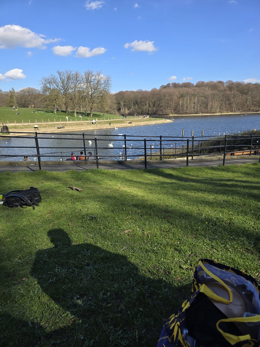 Ren 💚 MCRLDN 11/7 tweet media