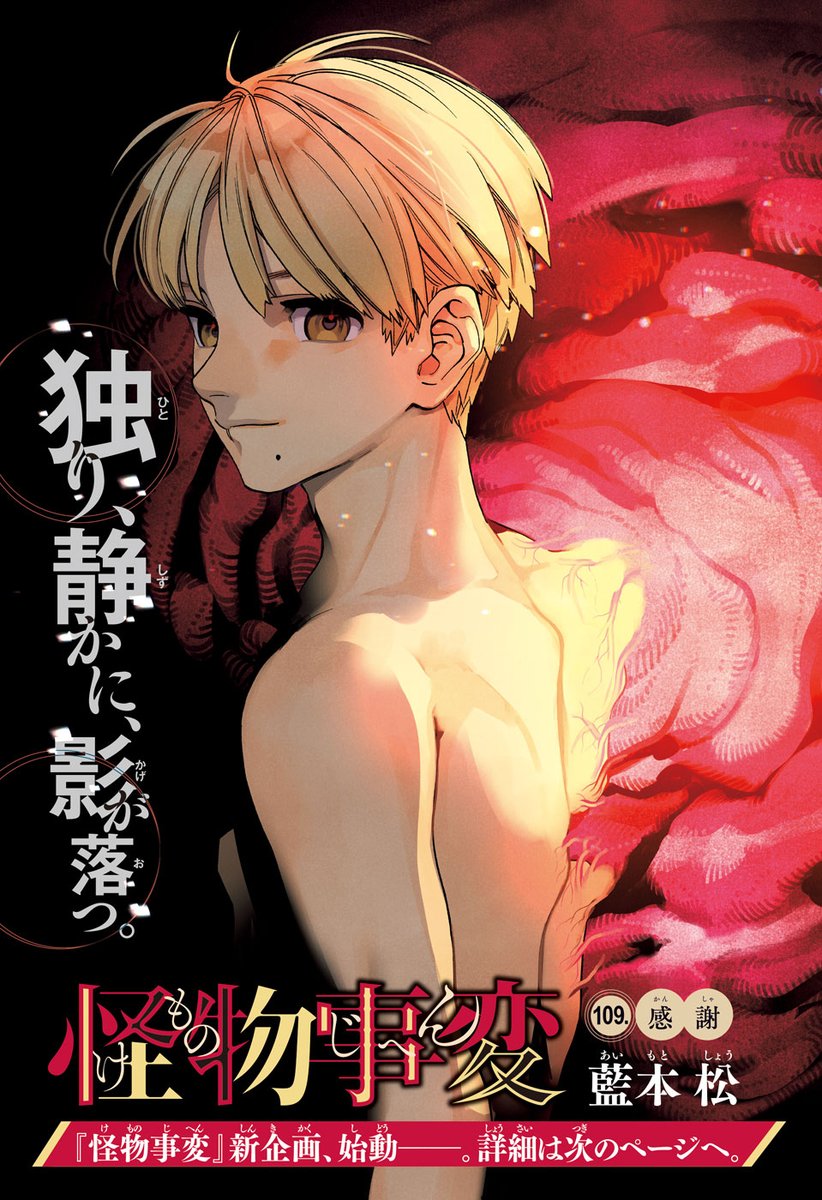 🐦‍⬛ tweet media