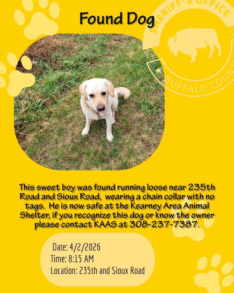 Buffalo County Sheriff's Office tweet media