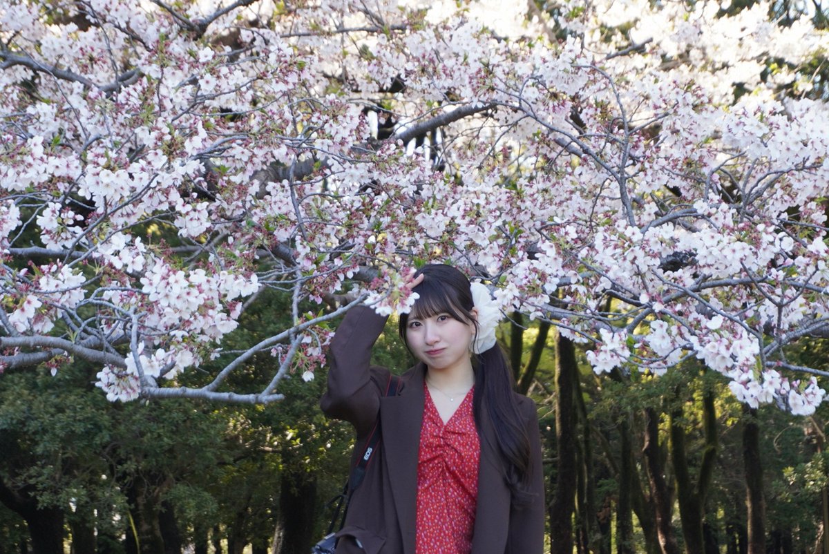 星乃由宇🐰ྀི🪐 Yu Hoshino tweet media