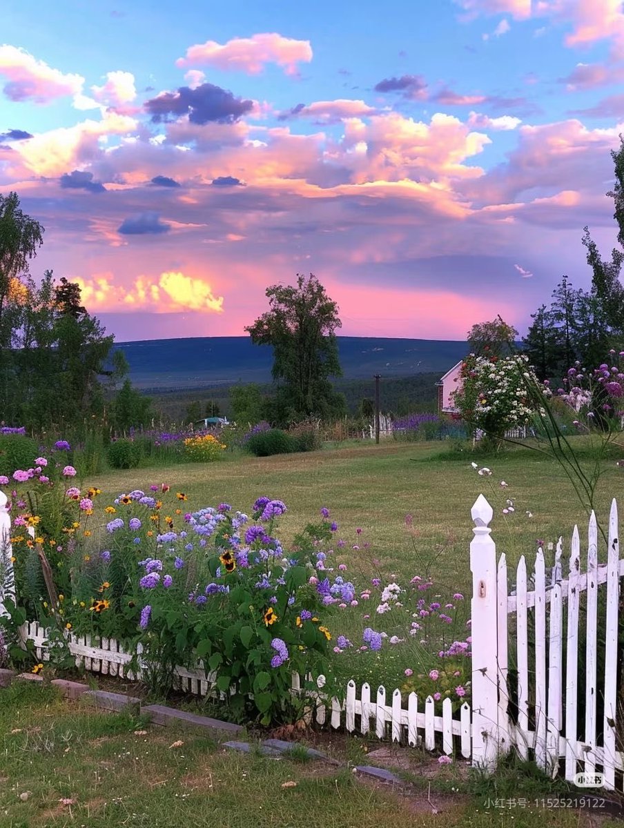 HeavenOnEarth tweet media