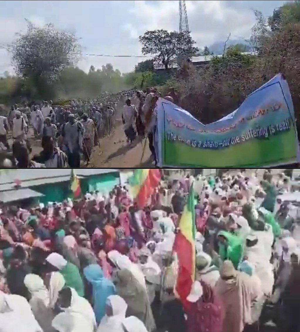 ኢትዮጵያውያን🇪🇹🇪🇷 tweet media