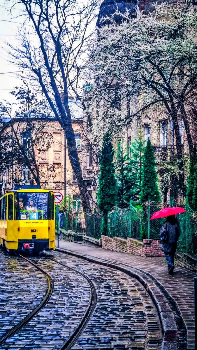 Crystalik ⭐️ tweet media