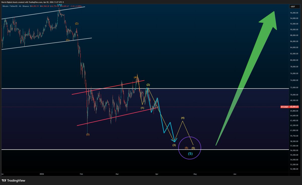Norris Digital Assets ⚡️ tweet media