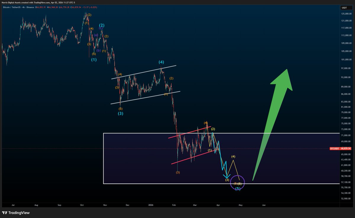 Norris Digital Assets ⚡️ tweet media