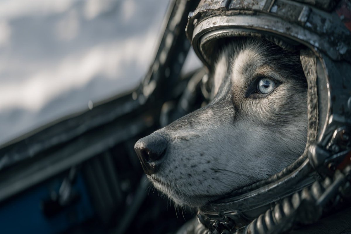 He wasn’t meant for the ground.
While others feared the distance, he chased it. Past the clouds, past the limits, into a place where only a few ever dare to go. Up there, there’s no noise, no guidance… just instinct and purpose. And the ones who reach that height aren’t