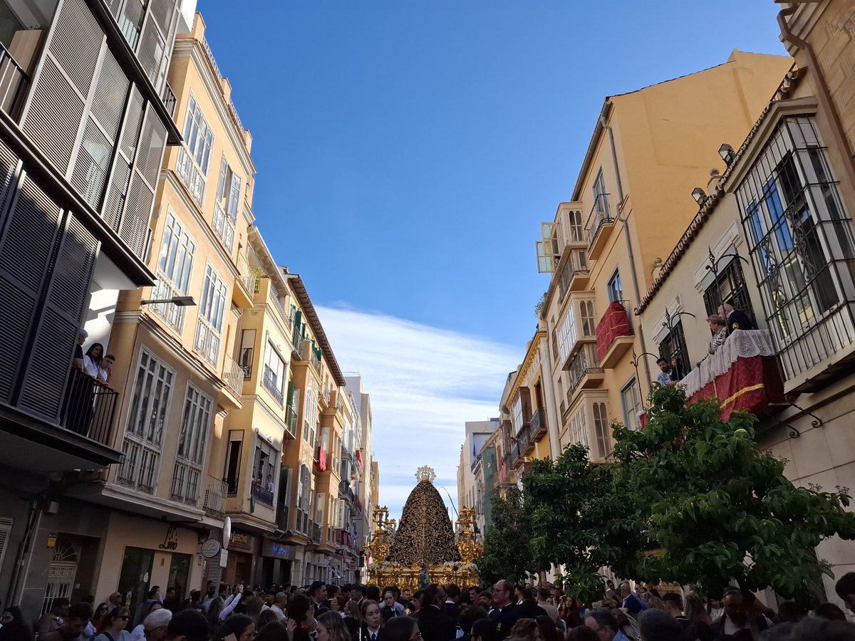 Fco. Matías Ramírez Mañas tweet media