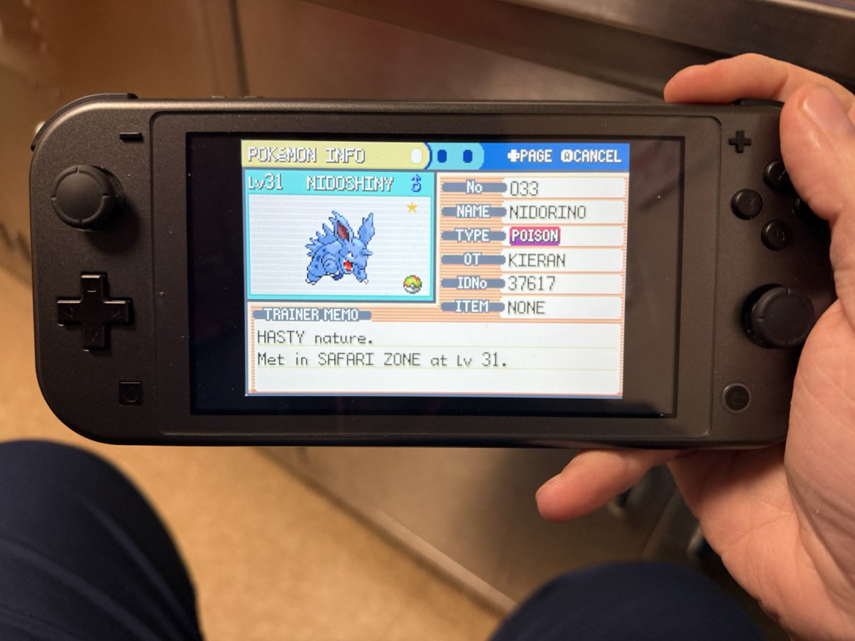Dan_TheAnimal's tweet photo. Full odds in the safari zone this is insane I wasn’t even hunting just trying to full my dex! https://t.co/K5cUCeD6aX
