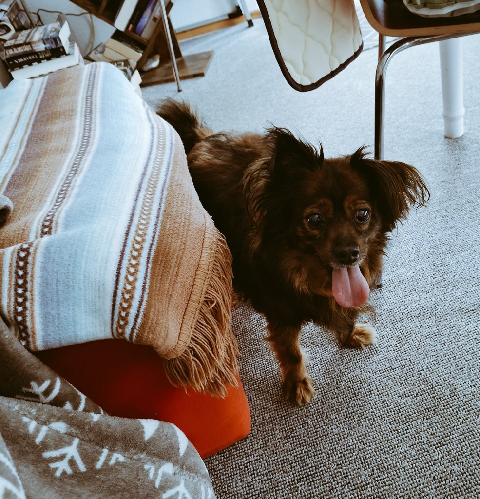 TheMoment🐦 tweet media