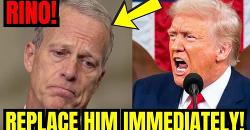 SaltyGoat tweet media