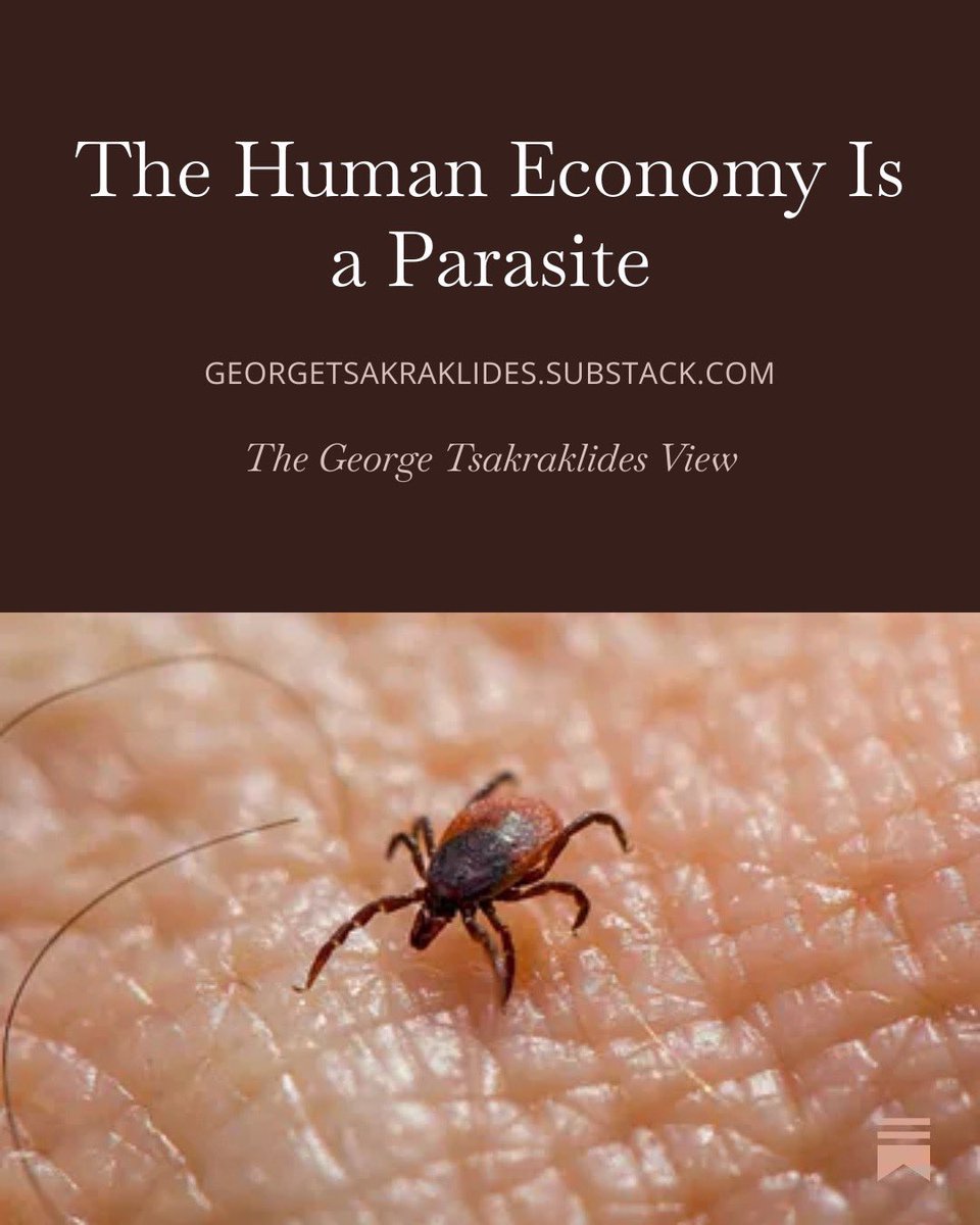 George Tsakraklides tweet media