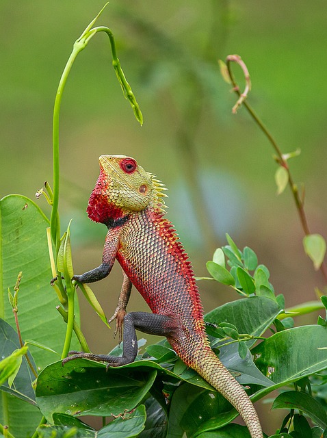 Jimmy Holloway tweet media