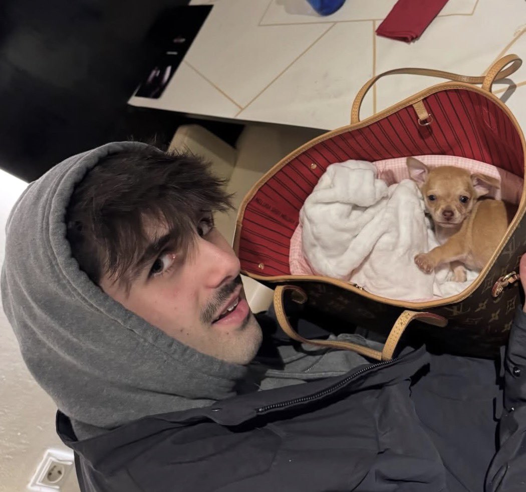 jojo ོ☼ 𝑙𝑎 𝑖𝑛𝑠𝑜𝑙𝑎𝑐𝑖𝑜́𝑛 ✩ tweet media