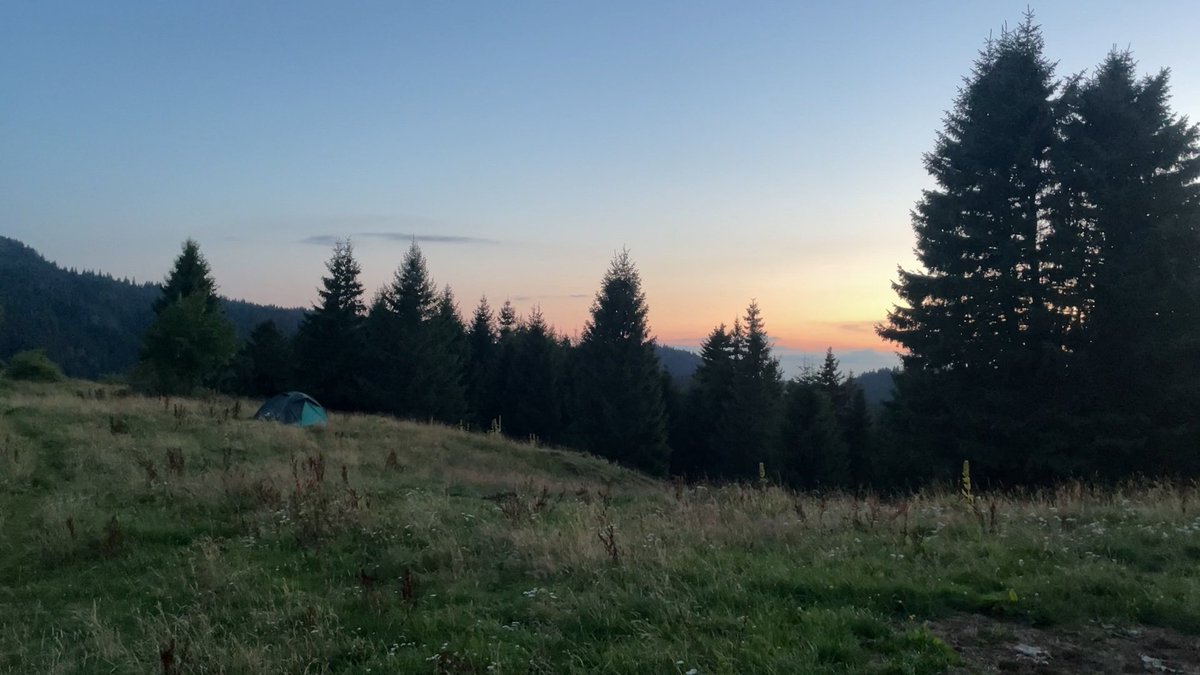 Guigz - MONTEUR VIDEO 🎥 tweet media