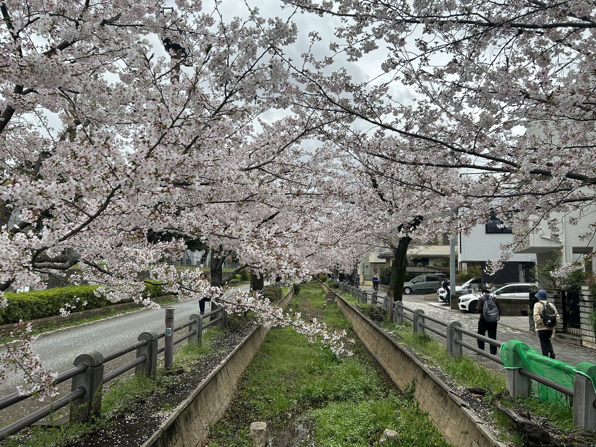 sky6z's tweet photo. 忙しすぎてツイートも私生活もなんもできん、、癒し写真撮るぐらいしかやることないわ https://t.co/A8nK03pgnW