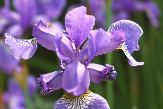 Angela Grant tweet media